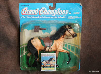 Grand Champions Warmblood stallion