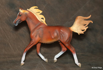 CollectA Arabian Stallion