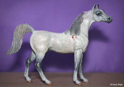 Kathleen Moody's On Broadway resin Arabian stallion