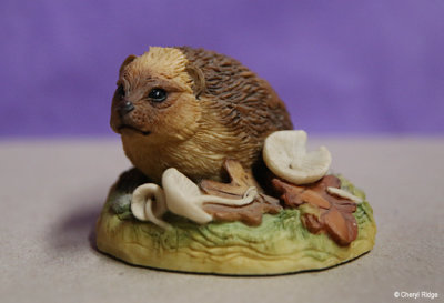 Teviotdale Hedgehog figurine