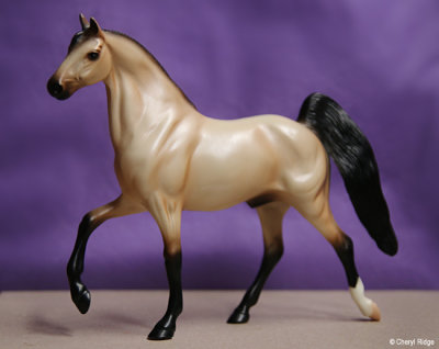 Hartland Tennessee Walker stallion