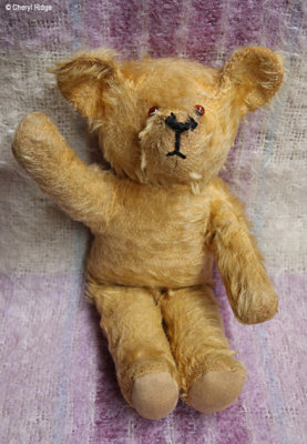 7300-vintage-bear