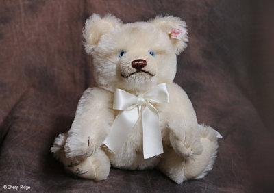 Steiff White Jackie teddy bear 2006