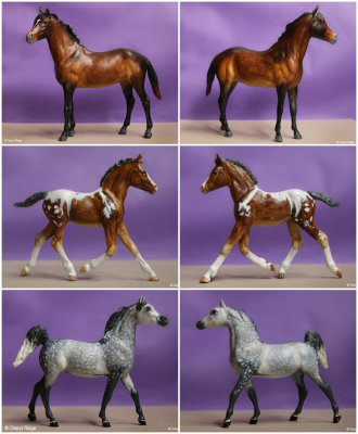 Breyer model horses CM by Acima McKay