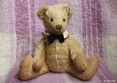 Mohair bear - artist unknown