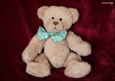 unknown artist bear