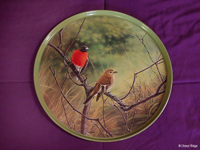 Willow Australia serving tray (robins)