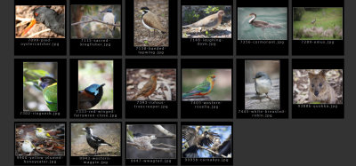 WA Wildlife