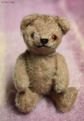 8549- vintage unknown bear