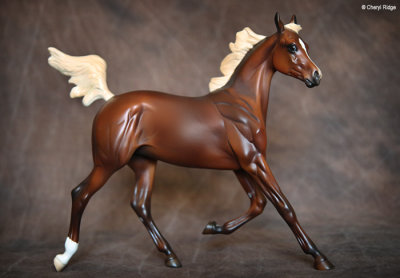 Peter Stone Arabian Yearling - DAH - Design A Horse