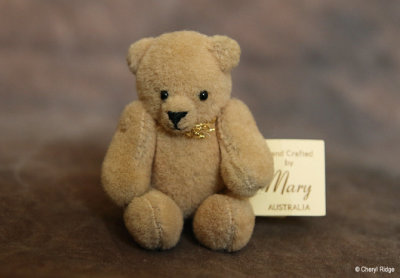 miniature bear Jessica by Mary