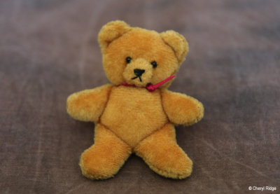 miniature bear by mary