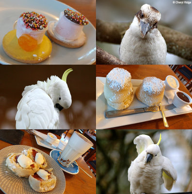 Kallista Tea Rooms - Dandenong Ranges