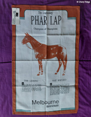 Phar Lap teatowel - Melbourne Museum
