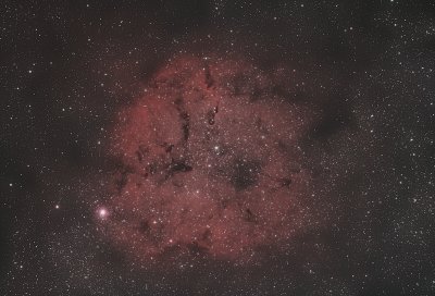 Elephant Trunk Nebula IC1396.jpg