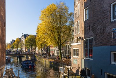IMG_2666.jpg