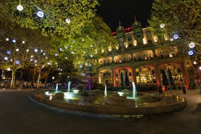 IMG_2819.jpg
