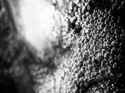 P6300017E.JPG