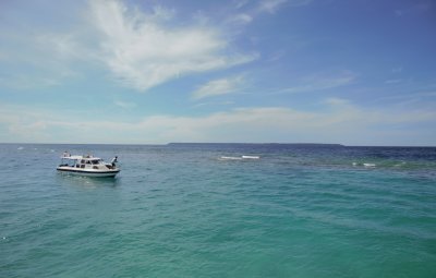 DSC_0443.jpg