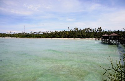 DSC_0477.jpg
