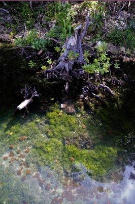 DSC_1080.jpg