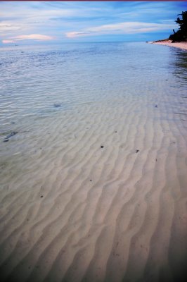 DSC_1257.jpg