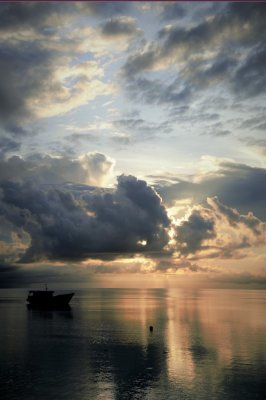 DSC_1385.jpg