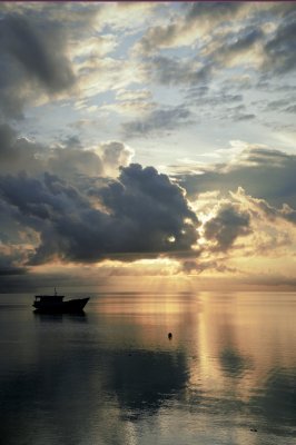 DSC_1390.jpg