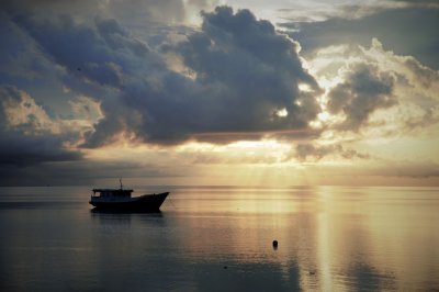 DSC_1391.jpg