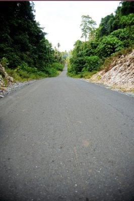 DSC_1410.jpg