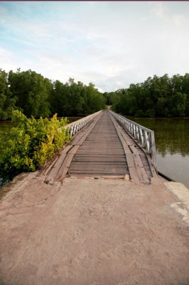 DSC_1412.jpg