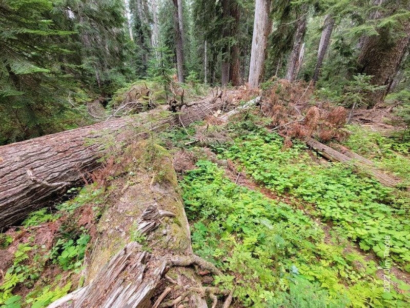 20220914_113414.jpg