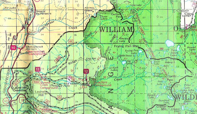 Carlton Creek USFS.jpg