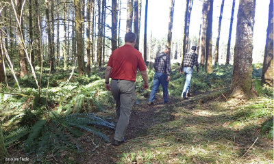 Inspecting logged area