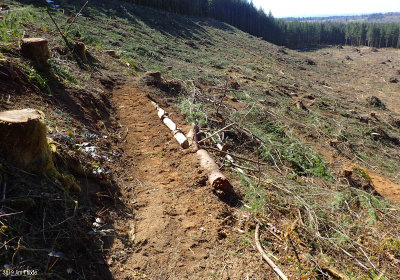 Rebuilt Trail