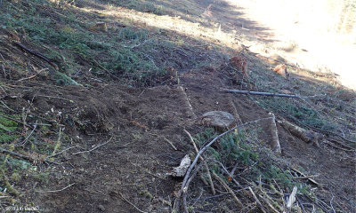 Switchback Steps