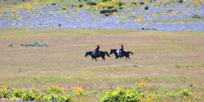 IMG_0582a.jpg
