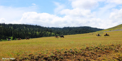 IMG_0585a.jpg