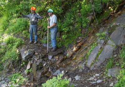 Green River Trail, Creek stopped Excavator