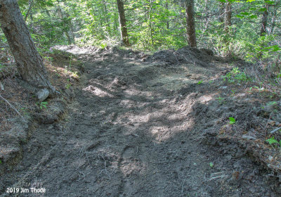 Goat Mtn Trail