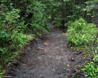 Z99A3577a.jpg