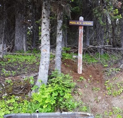 13 - Moolack Spring.jpg