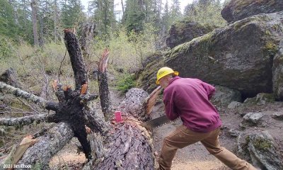 Trail Clearing - During