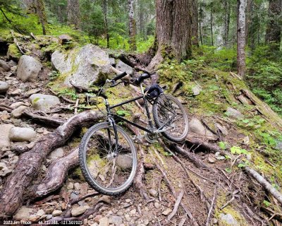 Last Rd 44 Carlton Creek crossing not suitable for stock