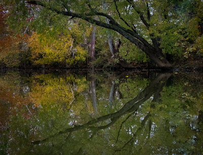 North Elkhorn Creek