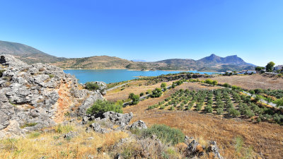 Olive Groves and reservoir
