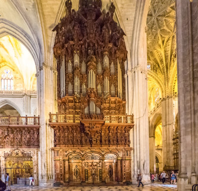 Organ Detail