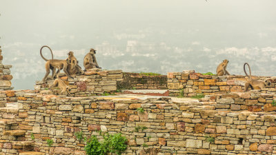  Chittor Fort Ruins