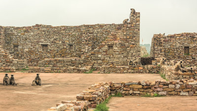 Chittor Fort Ruins