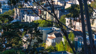 Corona Heights Views